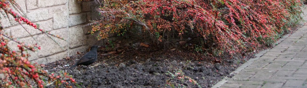 Sinclair Residents Association