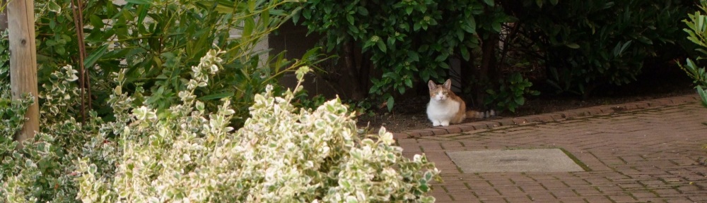 Sinclair Residents Association