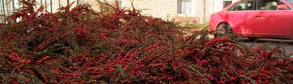 Sinclair Residents Association